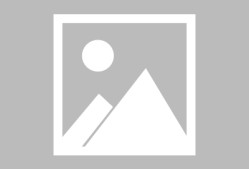 开云中国官网APP-哈兰德去哪里了