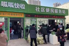 社区盾赛程吃紧，布莱顿今夜强势反弹，底气十足，训练强度明显提升的简单介绍